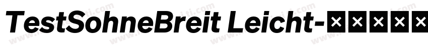 TestSohneBreit Leicht字体转换